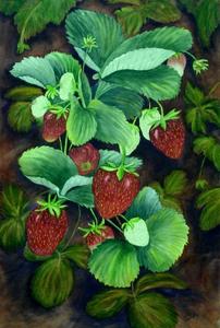 strawberries.jpg